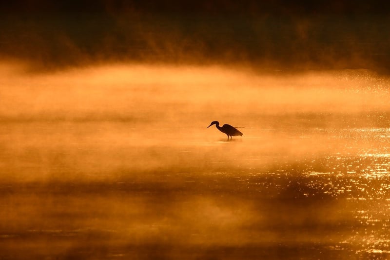 Sunrise at a meditation retreat